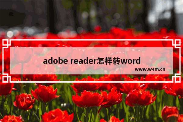 adobe reader怎样转word