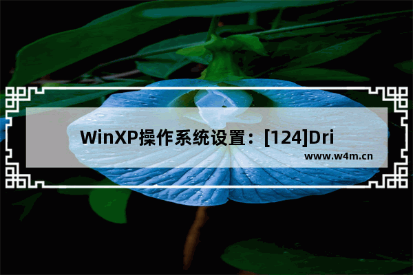 WinXP操作系统设置：[124]Driect 3D加速方法