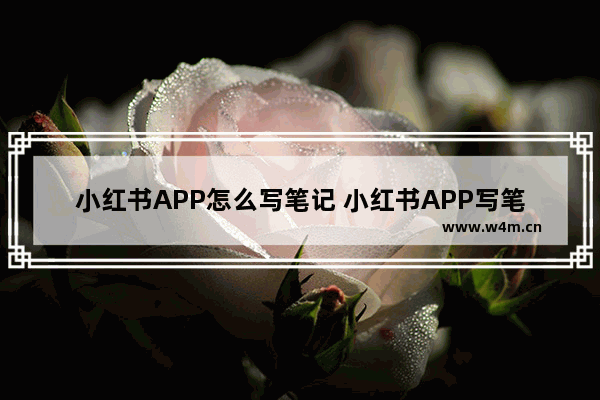 小红书APP怎么写笔记 小红书APP写笔记方法