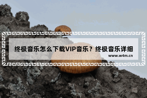 终极音乐怎么下载VIP音乐？终极音乐详细使用图文教程