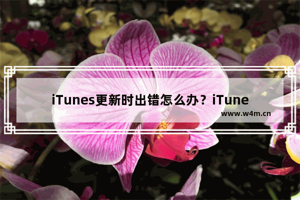 iTunes更新时出错怎么办？iTunes更新时出错的解决教程