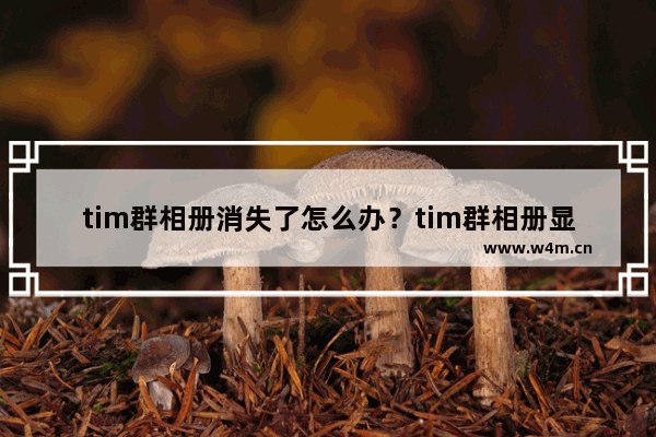 tim群相册消失了怎么办？tim群相册显示的教程