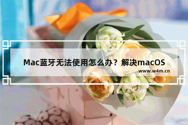 Mac蓝牙无法使用怎么办？解决macOS蓝牙问题的7种教程