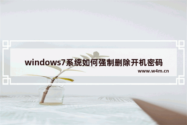 windows7系统如何强制删除开机密码？