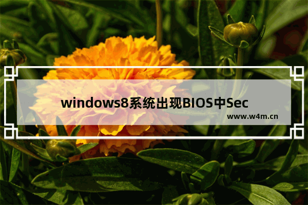 windows8系统出现BIOS中Secure Boot无法更改怎么办？