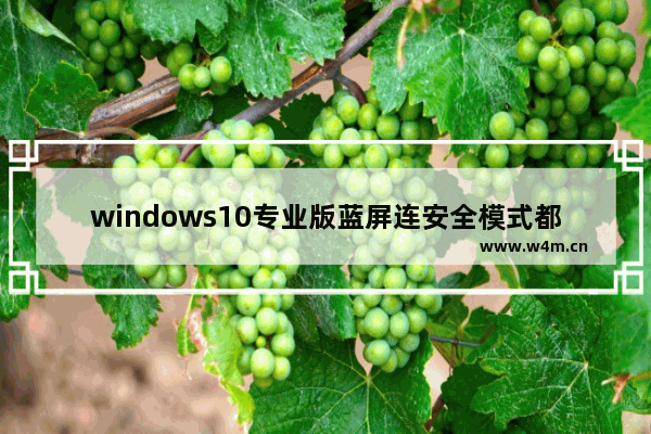 windows10专业版蓝屏连安全模式都进不去怎么处理？