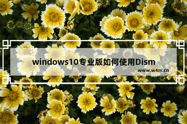 windows10专业版如何使用Dism命令行来修复受损文件