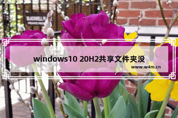 windows10 20H2共享文件夹没有权限访问怎么办？