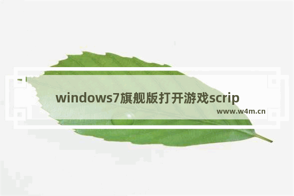 windows7旗舰版打开游戏script error怎么解决？