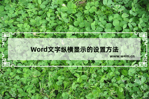 Word文字纵横显示的设置方法