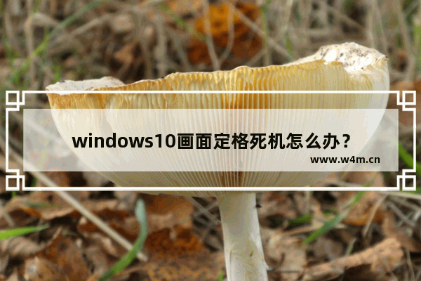 windows10画面定格死机怎么办？