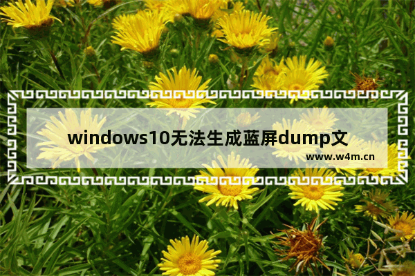 windows10无法生成蓝屏dump文件怎么办？