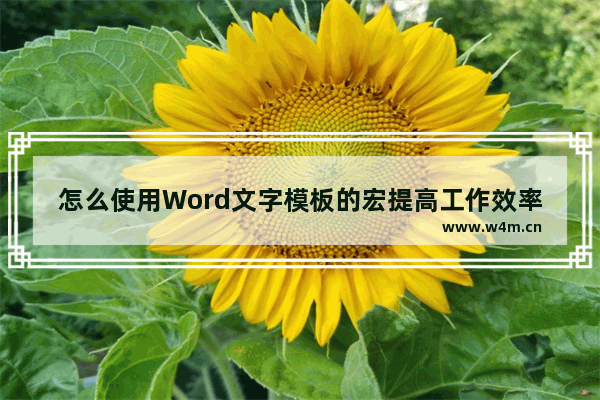 怎么使用Word文字模板的宏提高工作效率？