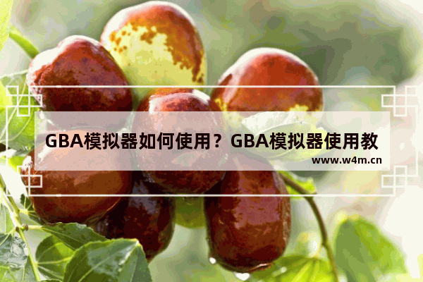 GBA模拟器如何使用？GBA模拟器使用教程