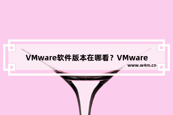 VMware软件版本在哪看？VMware软件版本查看方法