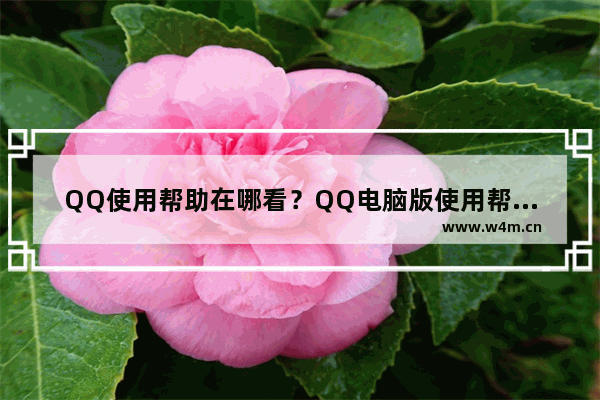 QQ使用帮助在哪看？QQ电脑版使用帮助查看方法简述