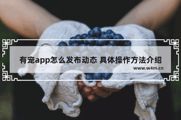 有宠app怎么发布动态 具体操作方法介绍