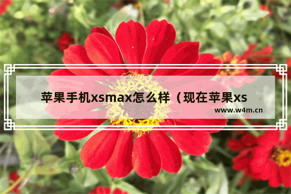 苹果手机xsmax怎么样（现在苹果xs max值得入手吗）