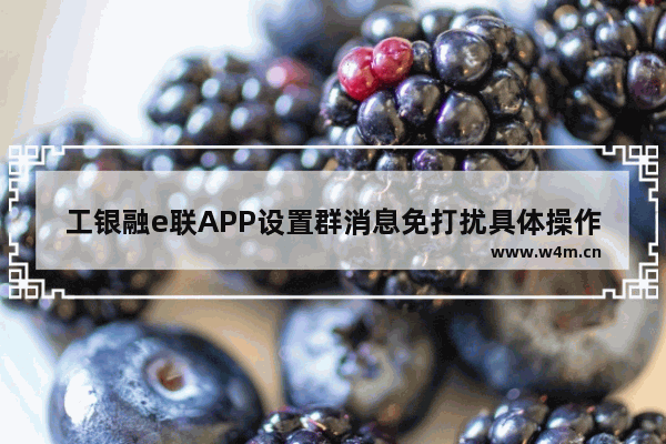 工银融e联APP设置群消息免打扰具体操作方法