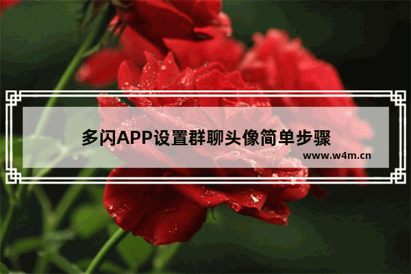 多闪APP设置群聊头像简单步骤