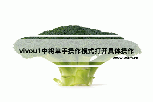 vivou1中将单手操作模式打开具体操作方法