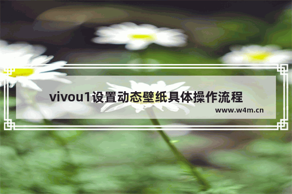 vivou1设置动态壁纸具体操作流程