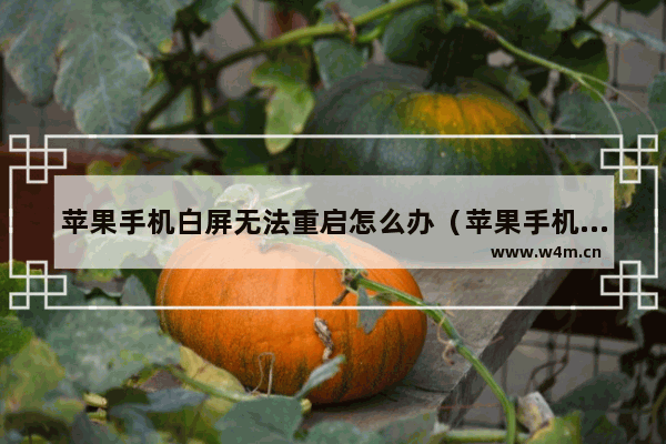 苹果手机白屏无法重启怎么办（苹果手机白屏死机解决方法）