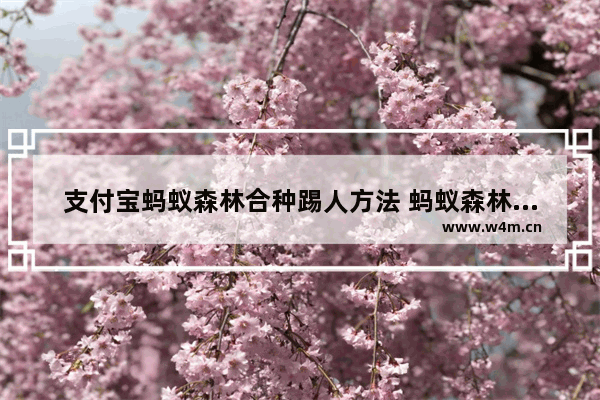 支付宝蚂蚁森林合种踢人方法 蚂蚁森林合种队长如何踢人