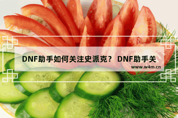 DNF助手如何关注史派克？ DNF助手关注史派克攻略介绍！