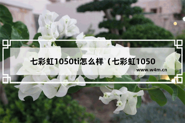 七彩虹1050ti怎么样（七彩虹1050Ti上手体验感受）