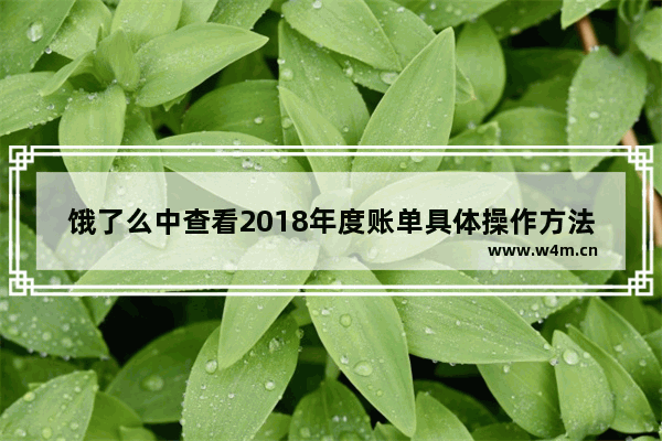 饿了么中查看2018年度账单具体操作方法