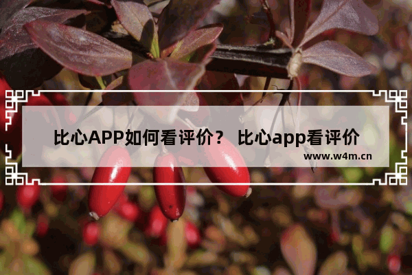 比心APP如何看评价？ 比心app看评价方法教程解答！