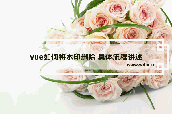 vue如何将水印删除 具体流程讲述