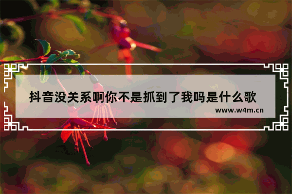 抖音没关系啊你不是抓到了我吗是什么歌  抖音歌曲大全介绍