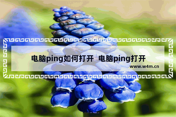 电脑ping如何打开  电脑ping打开教程