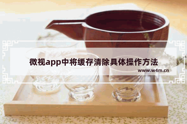 微视app中将缓存清除具体操作方法