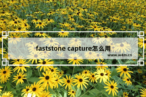 faststone capture怎么用？faststone capture使用教程