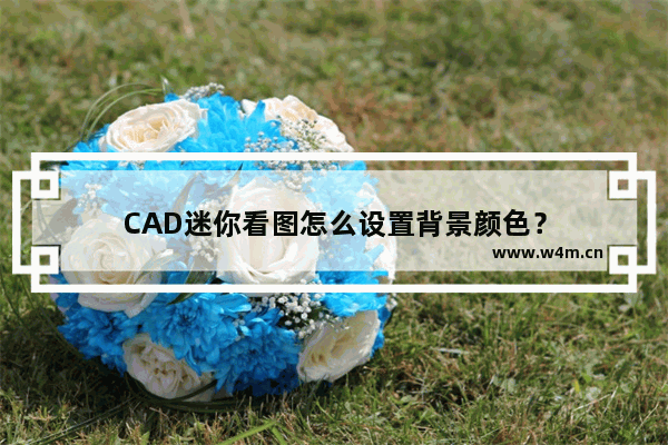 CAD迷你看图怎么设置背景颜色？