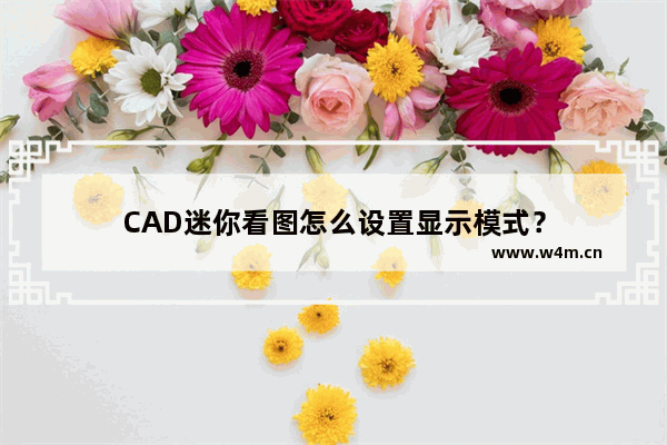 CAD迷你看图怎么设置显示模式？