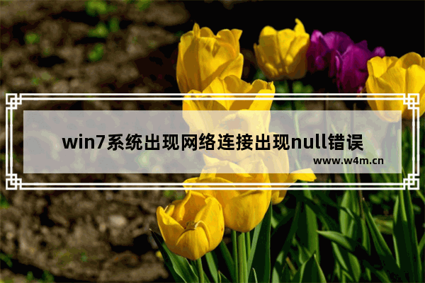 win7系统出现网络连接出现null错误详细解决方法