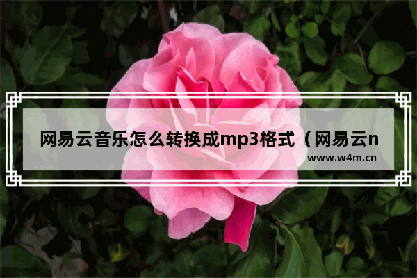 网易云音乐怎么转换成mp3格式（网易云ncm格式转mp3的方法）