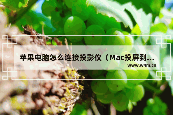 苹果电脑怎么连接投影仪（Mac投屏到电视或者投影仪的方法）