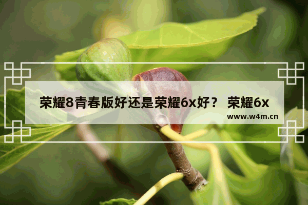 荣耀8青春版好还是荣耀6x好？ 荣耀6x和荣耀8青春版区别介绍