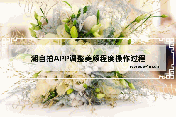 潮自拍APP调整美颜程度操作过程