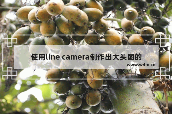 使用line camera制作出大头图的具体操作方法