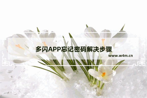 多闪APP忘记密码解决步骤