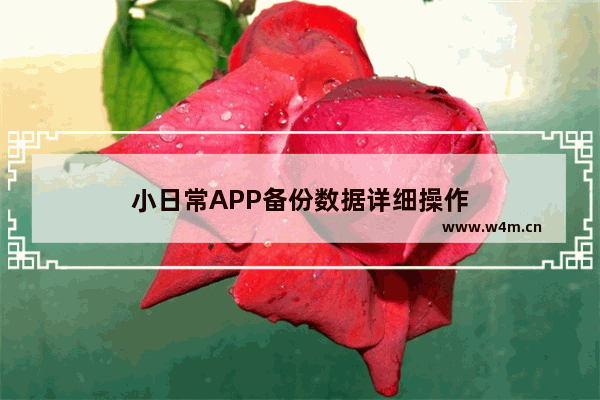 小日常APP备份数据详细操作