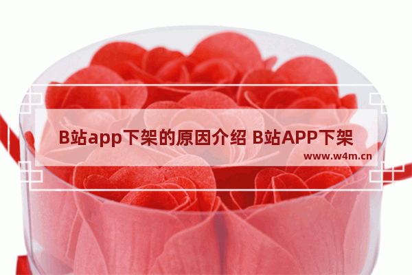 B站app下架的原因介绍 B站APP下架什么原因