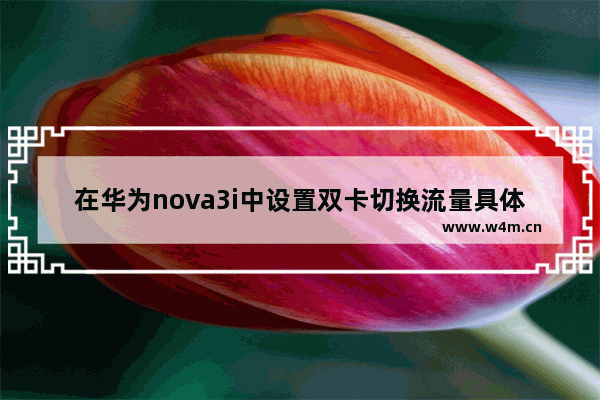 在华为nova3i中设置双卡切换流量具体操作方法