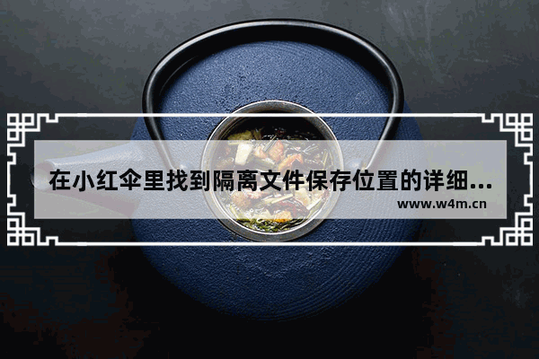 在小红伞里找到隔离文件保存位置的详细操作